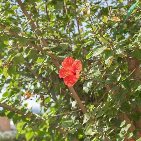 Mulberry Tree Villa Άγιος Νικόλαος Εξωτερικό φωτογραφία